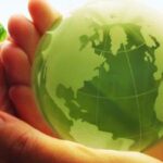 The Environmental Impact of a Plant-Based Diet