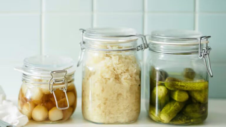 Top 10 Fermented Foods for Gut Health